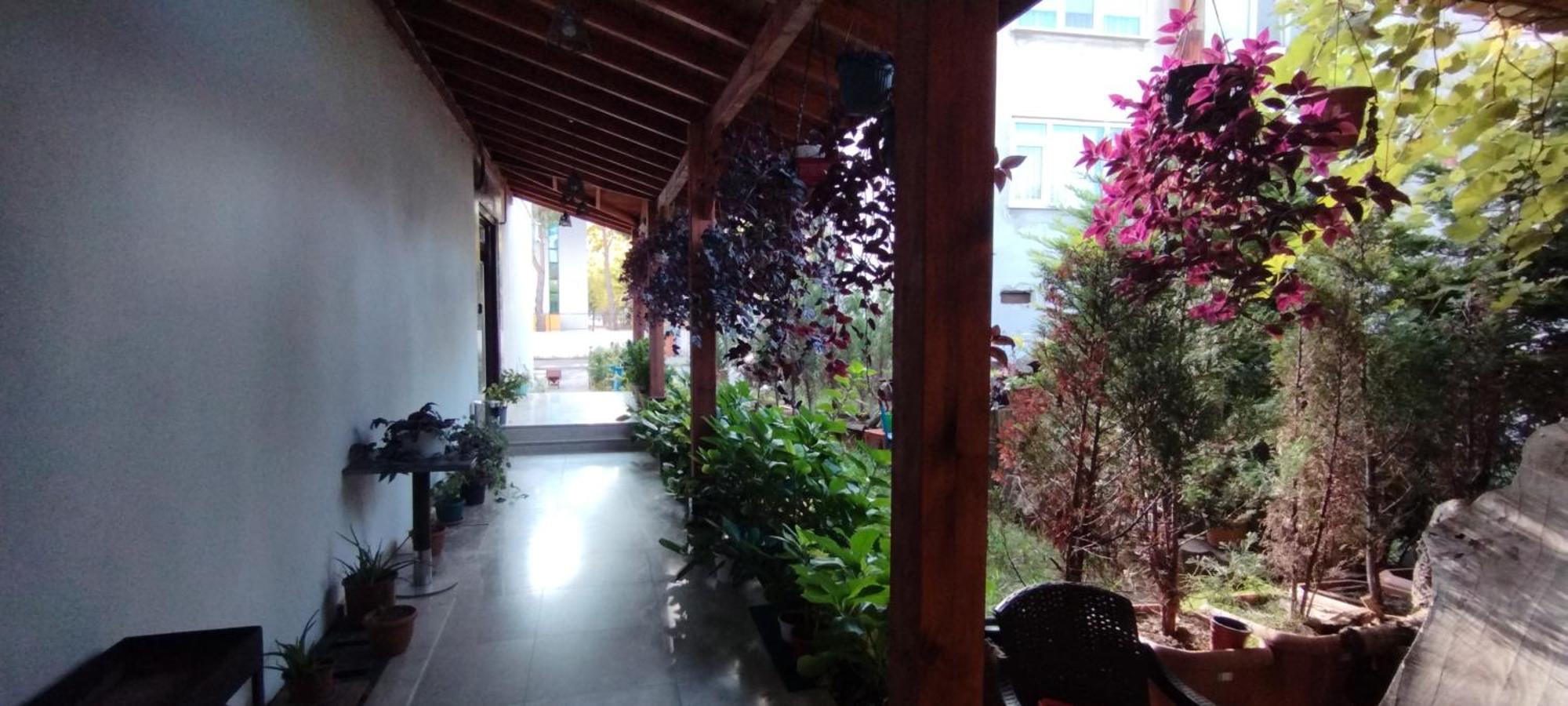 Ceneviz Suit Hotel 악차코자 외부 사진